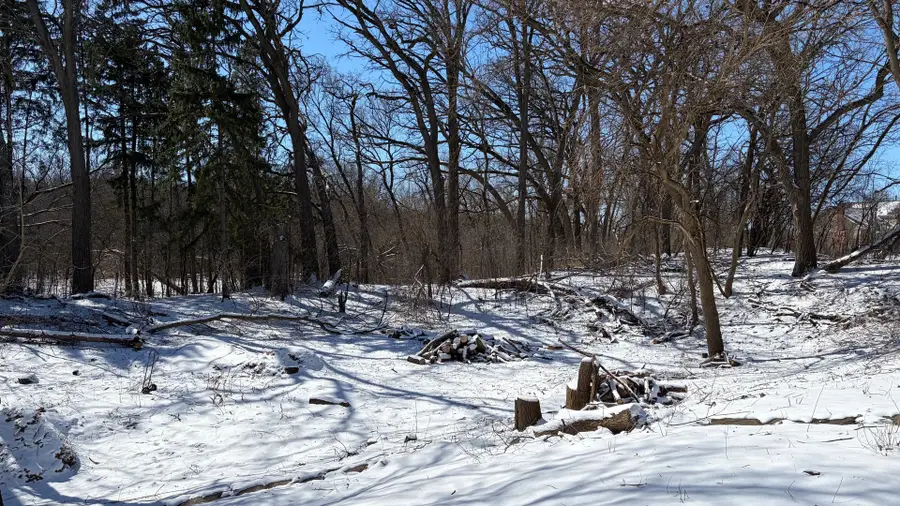 LOT 2 Asbury Avenue, Fox River Grove, IL 60021 - #2