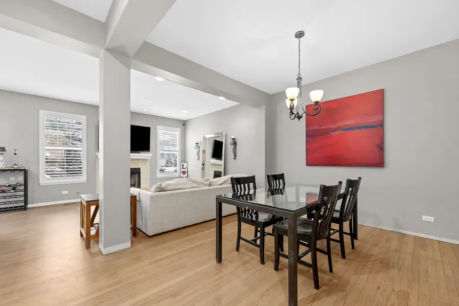 21889 W Talia Lane, Deer Park, IL 60010 - #3