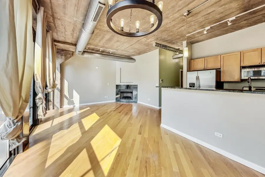 1000 W 15th Street #233, Chicago, IL 60608 - #3