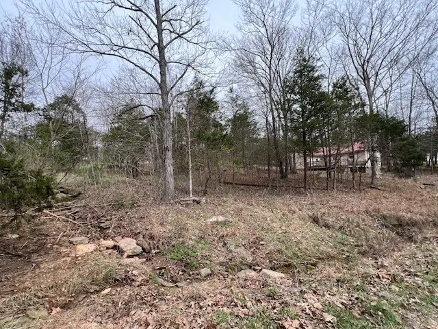 Lot 1234 Indian Camp Drive, Goreville, IL 62939 - #2