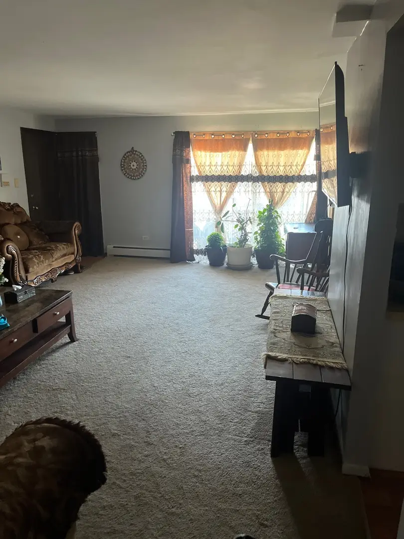 7100 99th Street #204, Chicago Ridge, IL 60415 - #3