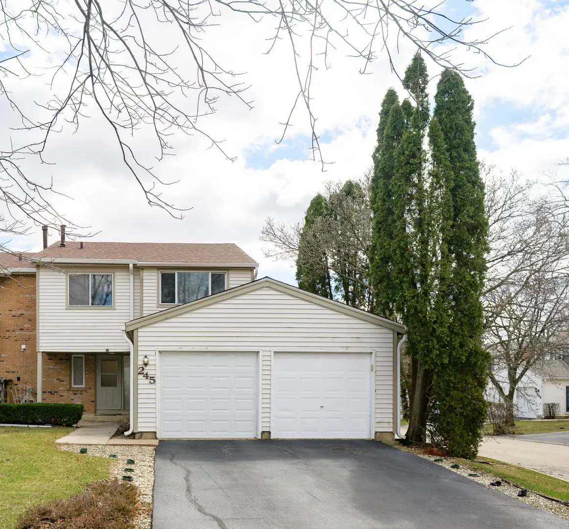245 Porter Lane, Bolingbrook, IL 60440 - #1