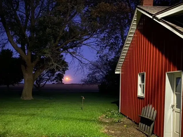 597 Cr 100 E, Ivesdale, IL 61851 - #3