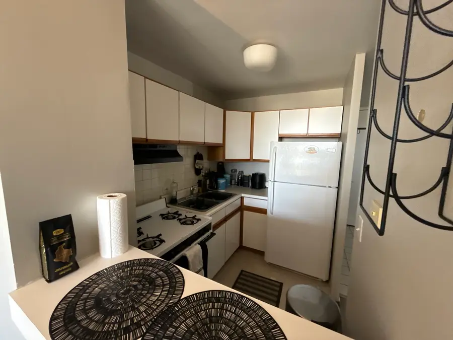 2921 S Michigan Avenue #413, Chicago, IL 60616 - #3