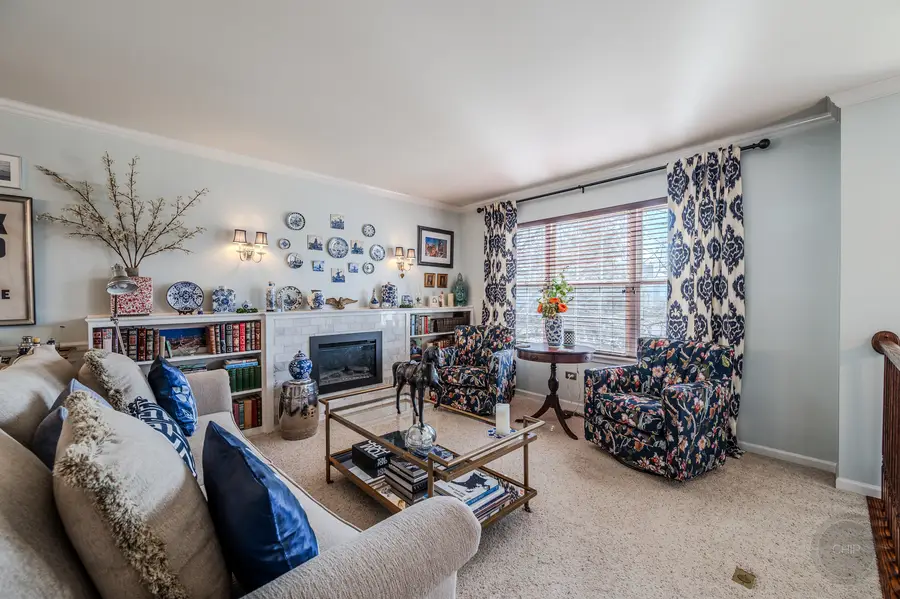 14600 Paul Revere Lane, Plainfield, IL 60544 - #3