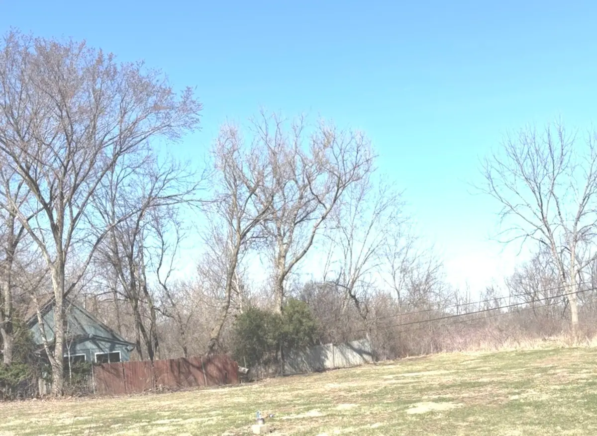 LOT 8 W Plum Street S, McHenry, IL 60050 - #1