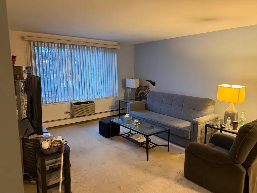 1475 Rebecca Drive #213, Hoffman Estates, IL 60169 - #3