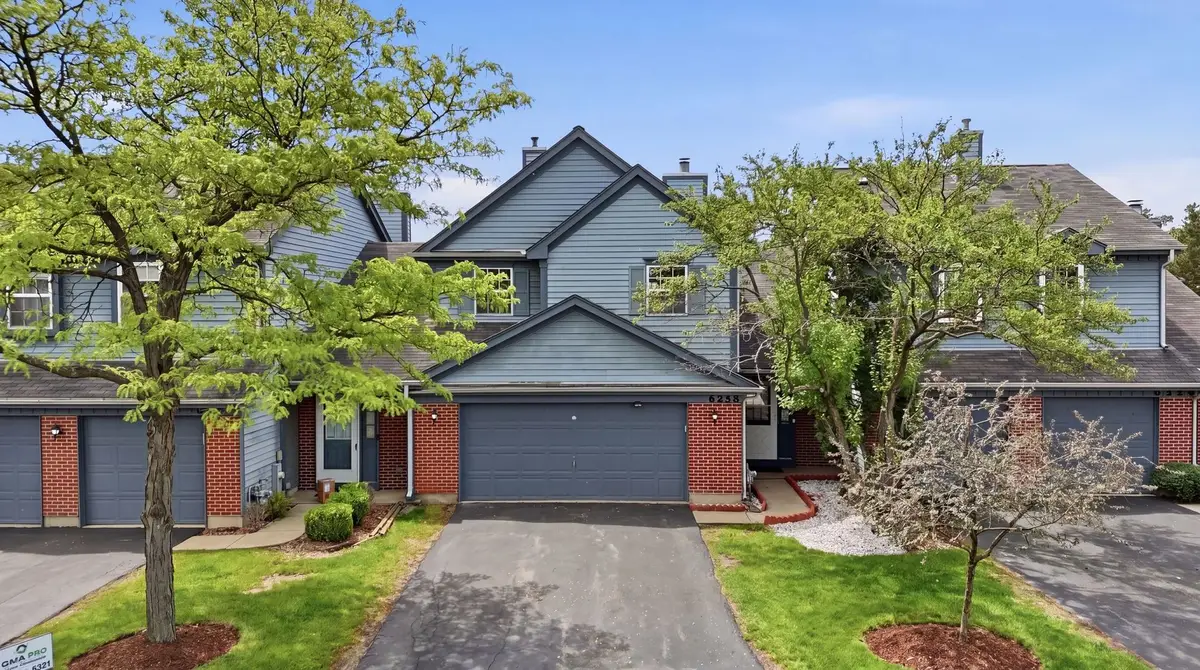 6528 Stair Street, Downers Grove, IL 60516 - #1