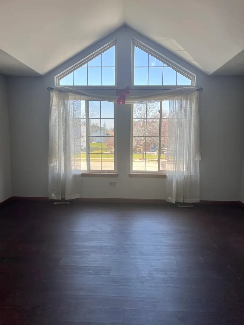 19609 Oakwood Avenue, Lynwood, IL 60411 - #2