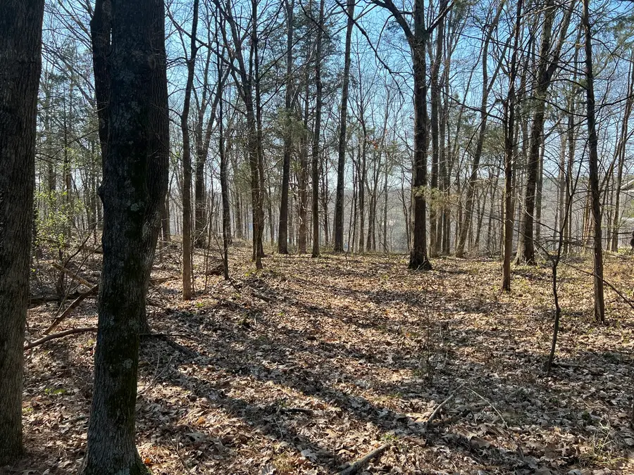 Lot 139 Cherry Point, Goreville, IL 62939 - #3