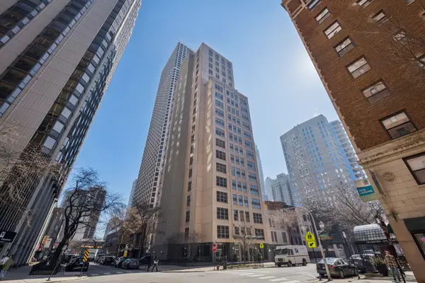 1035 N Dearborn Street #9W, Chicago, IL 60610