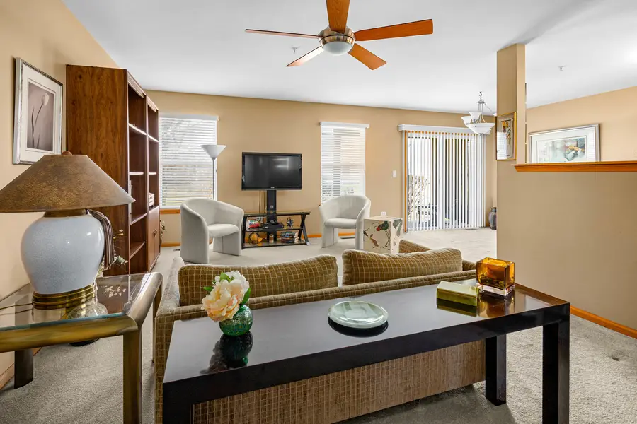 13809 S Bristlecone Drive #A, Plainfield, IL 60544 - #3