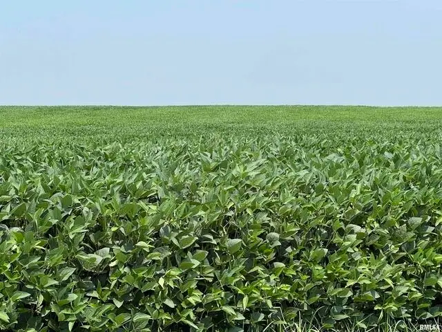 0 140th Avenue, Donahue, IA 52746 - #3