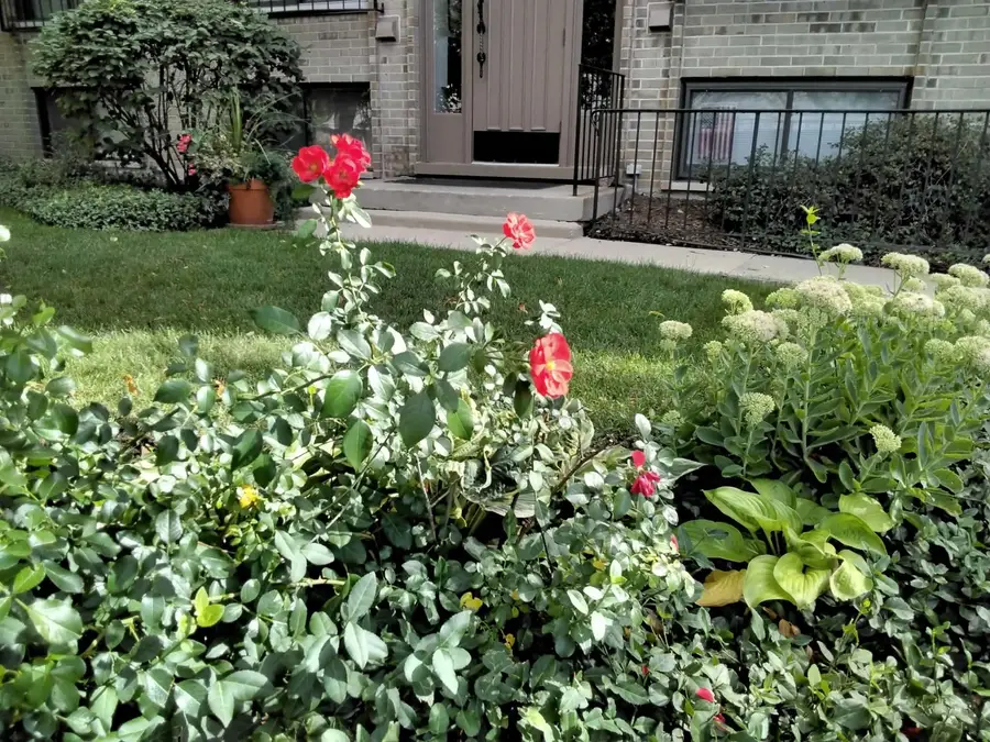 1706 Northfield Square #D, Northfield, IL 60093 - #3