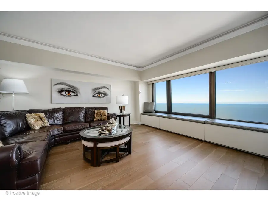 175 E Delaware Place #7107, Chicago, IL 60611 - #3