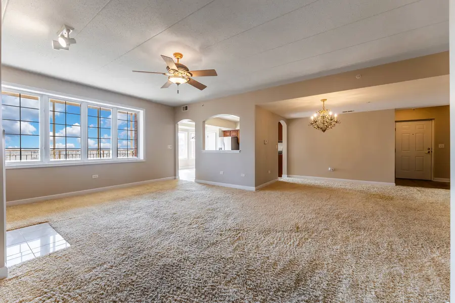 7716 Greenway Boulevard #3SE, Tinley Park, IL 60487 - #2