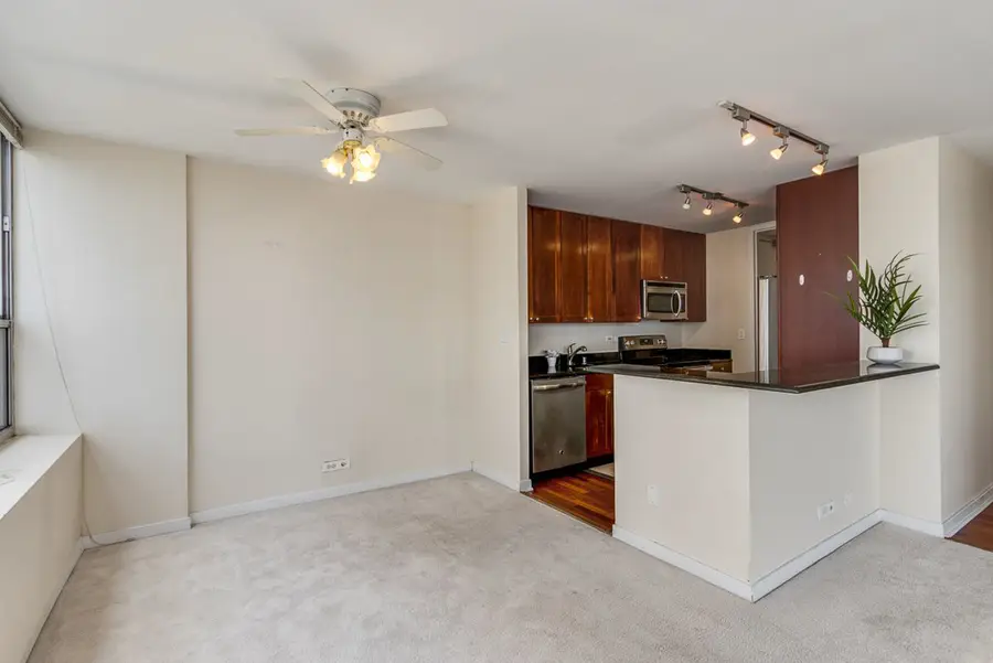 655 W Irving Park Road #1502, Chicago, IL 60613 - #3