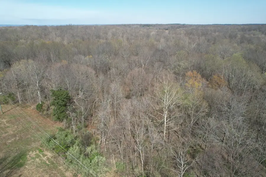 IL Highway 145 Road, Metropolis, IL 62960 - #3