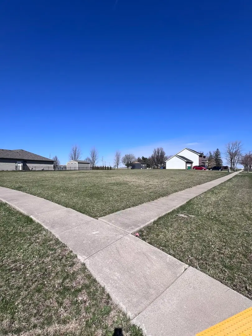 21140 Magnolia Lane, Elwood, IL 60421 - #1