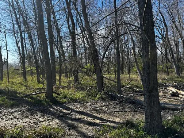 TBD Beckman Road, Mt Vernon, IL 62864