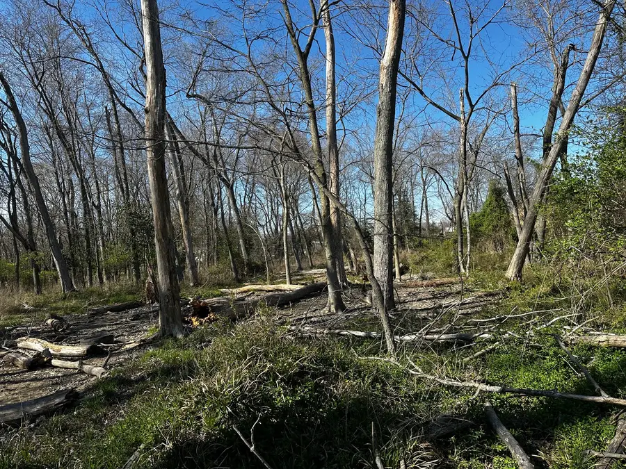 TBD Beckman Road, Mount Vernon, IL 62864 - #3