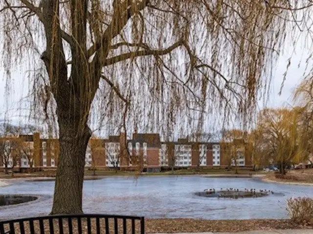 225 Lake Boulevard #517, Buffalo Grove, IL 60089 - #1