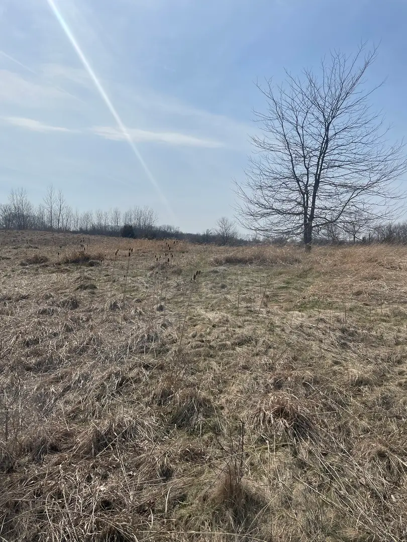 1055 E Grand Avenue, Lindenhurst, IL 60046 - #2