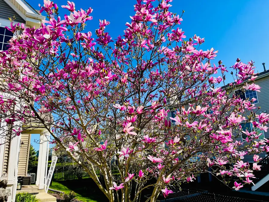 1064 Hampton Lane, Yorkville, IL 60560 - #2