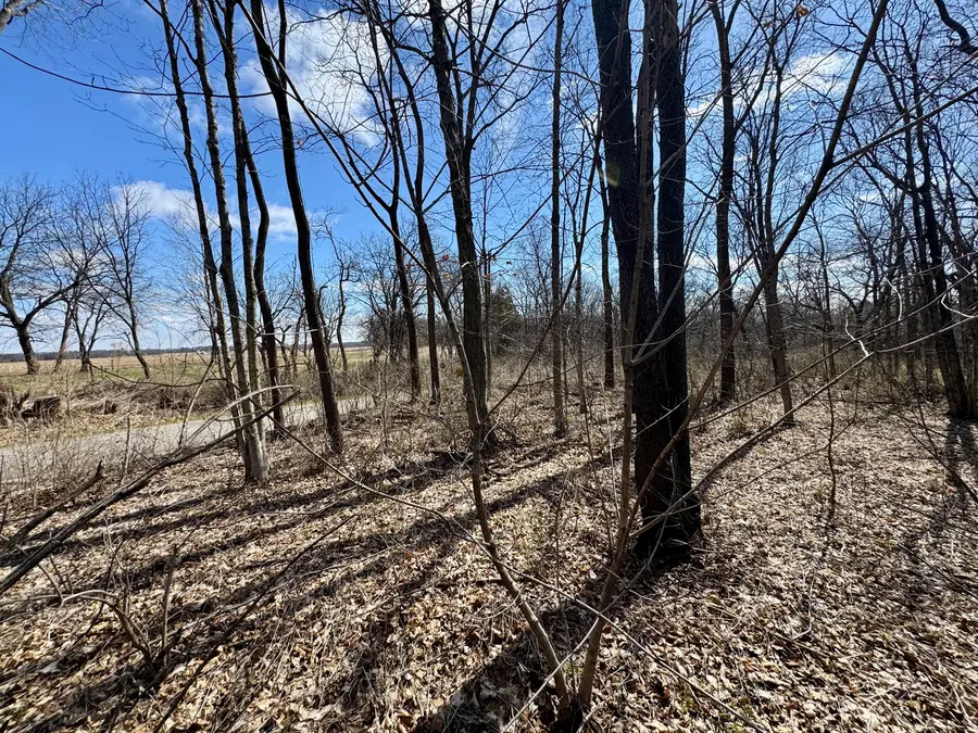 0 1725 E Street, Tiskilwa, IL 61368 - #3