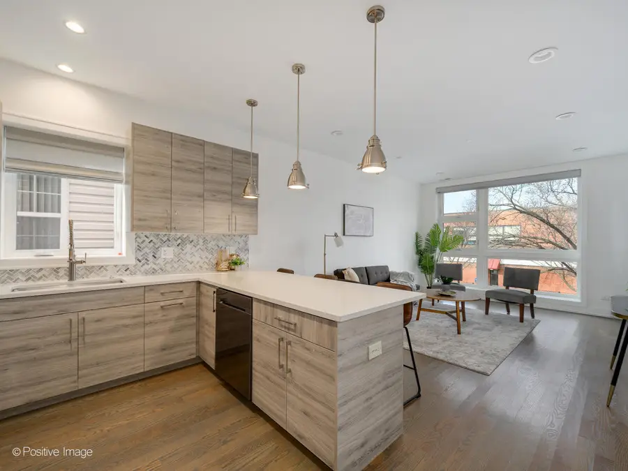 1907 S Allport Street #2, Chicago, IL 60608 - #2