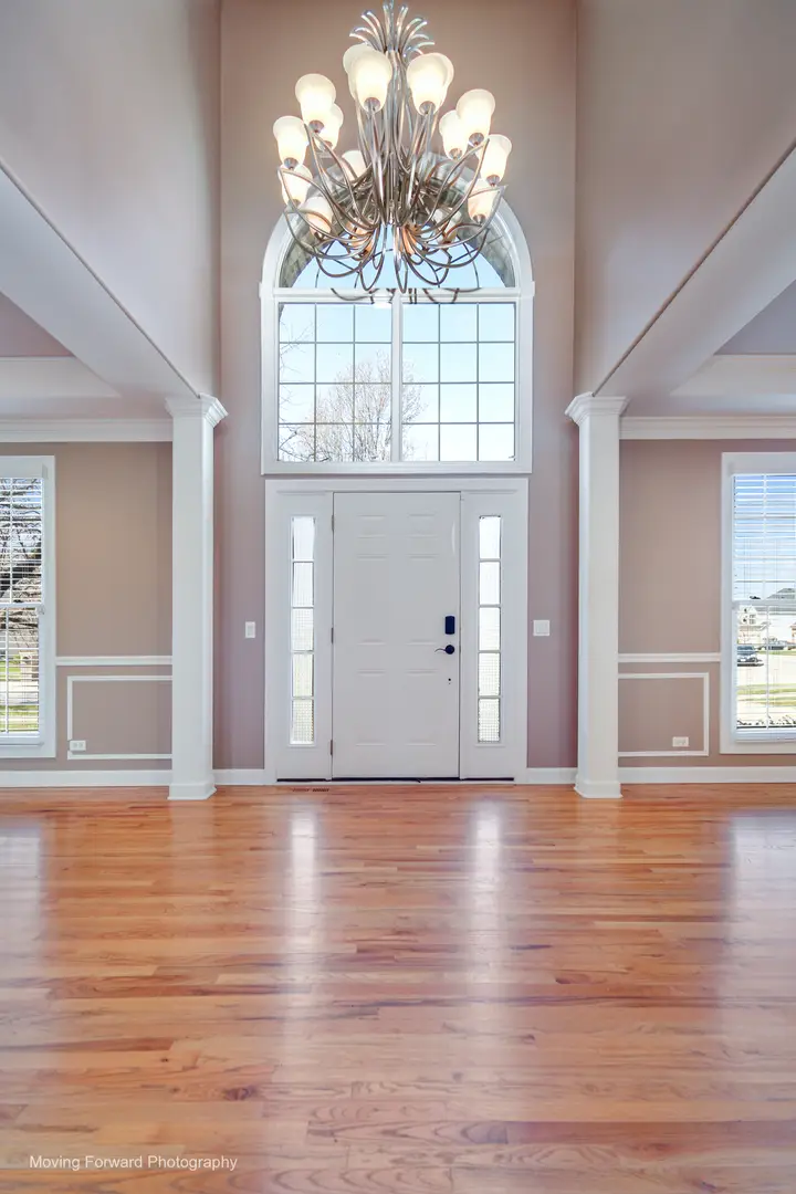 24833 Winterberry Lane, Plainfield, IL 60585 - #3