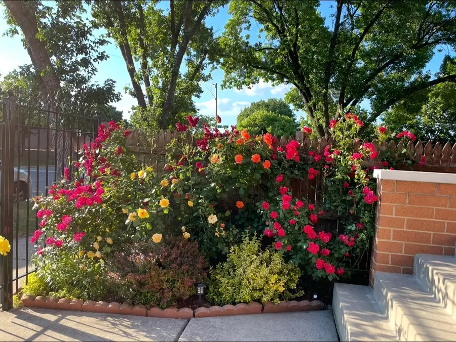 4505 S Drake Avenue, Chicago, IL 60632 - #3