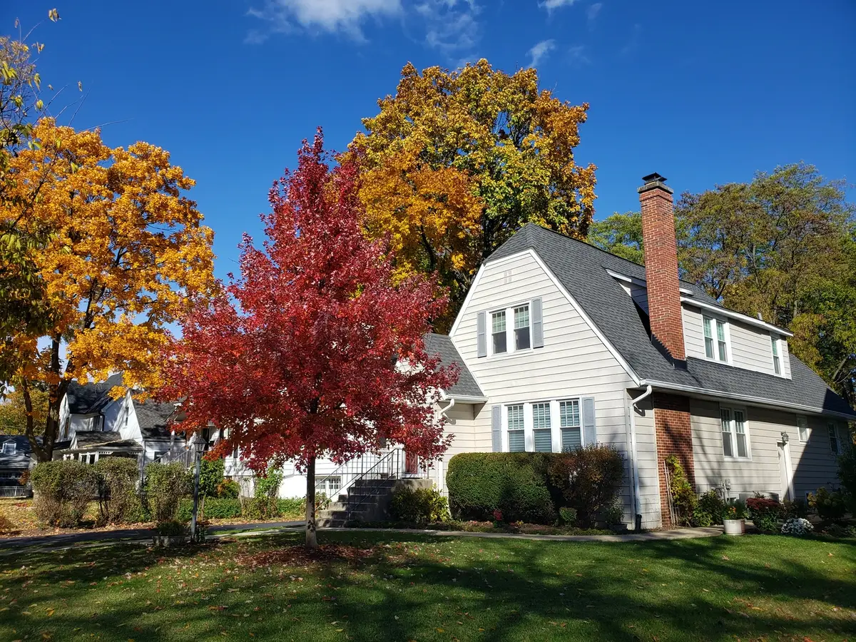 5433 Brookbank Road, Downers Grove, IL 60515 - #1