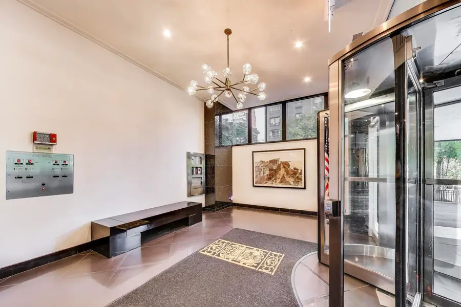 1000 N Lake Shore Drive #2009, Chicago, IL 60611 - #3