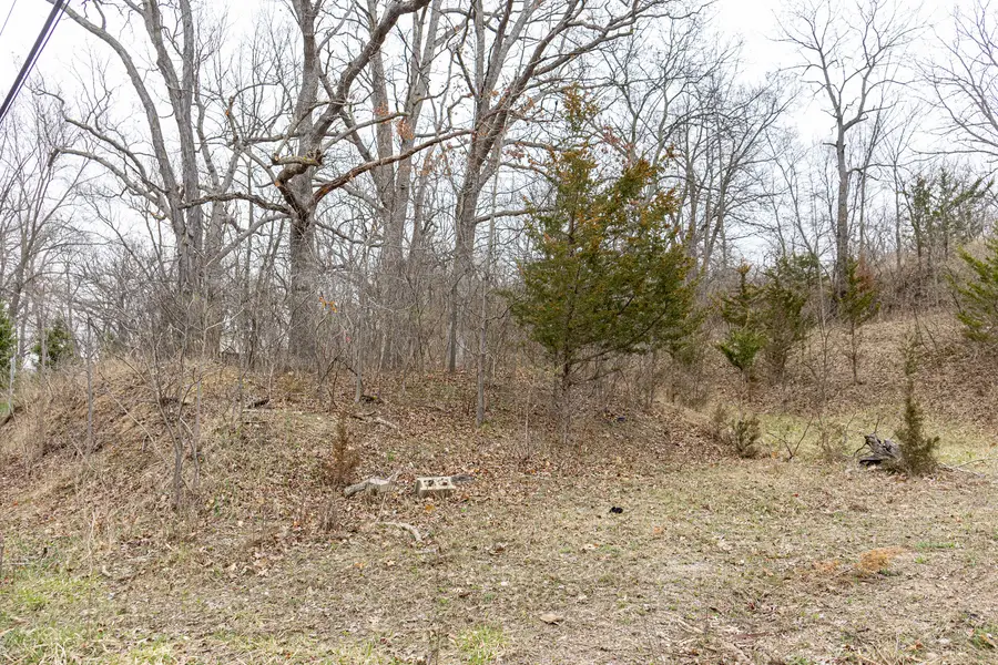 LOT 19 & LOT 18 Williams Road, Dundee, IL 60110 - #2