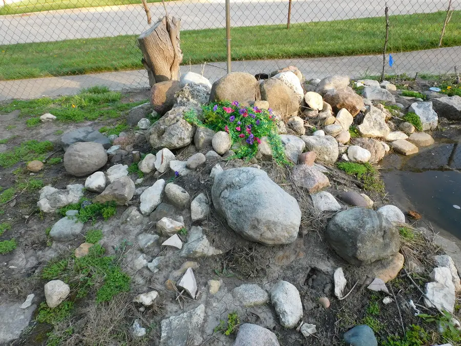 644 Briar Road, Wauconda, IL 60084 - #2