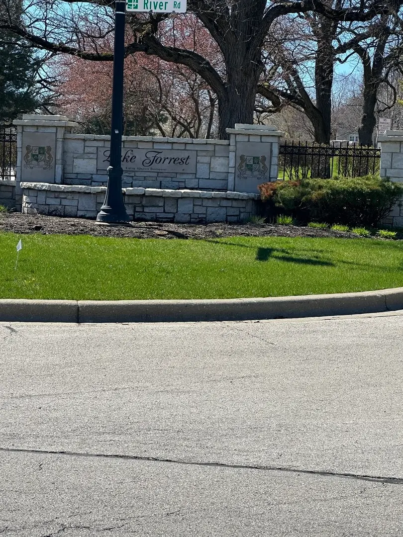 24863 W Sterling Oaks Court, Shorewood, IL 60404 - #1