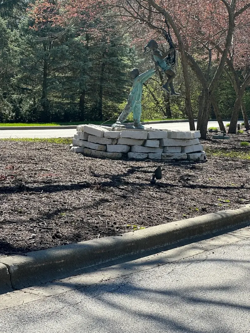 24863 W Sterling Oaks Court, Shorewood, IL 60404 - #3