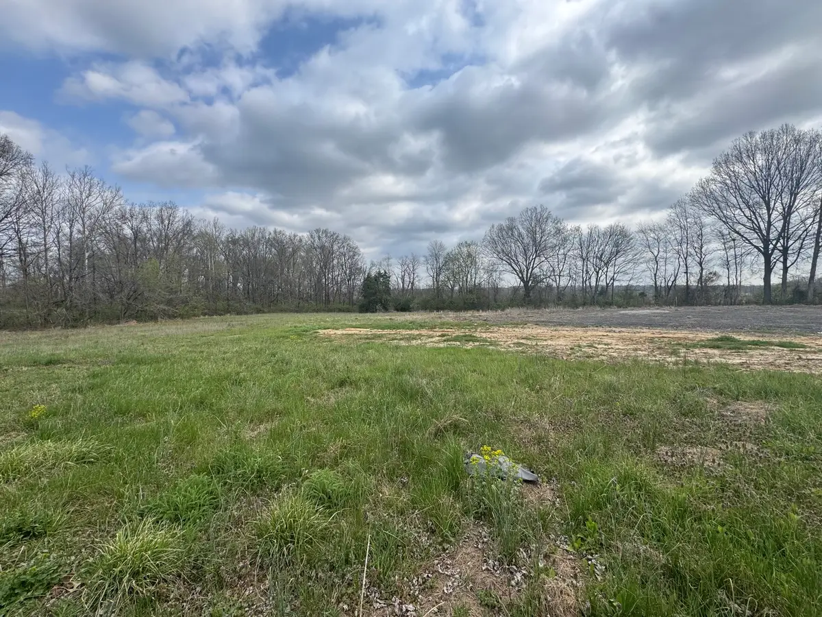 900 Old Route 146 Loop, Vienna, IL 62995 - #1