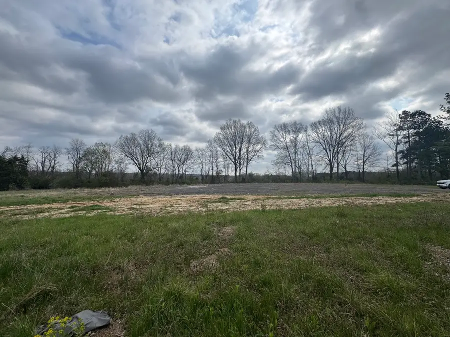 900 Old Route 146 Loop, Vienna, IL 62995 - #3