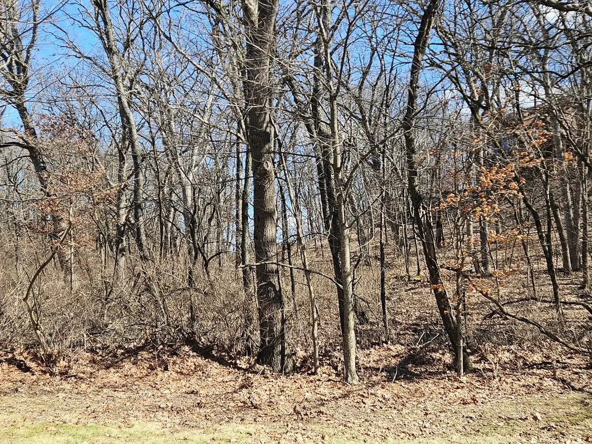 1302 Beech Lane, Dixon, IL 61021 - #1