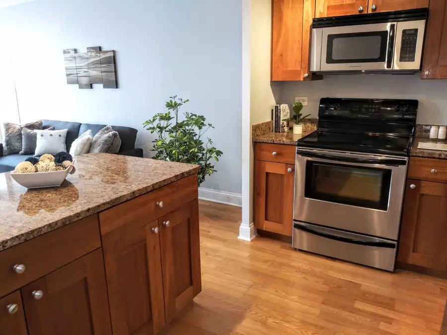 450 W Briar Place #6M, Chicago, IL 60657 - #3