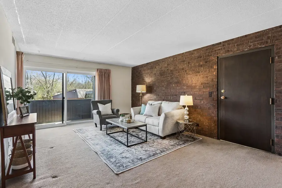 550 Timber Ridge Drive #204C, Carol Stream, IL 60188 - #2