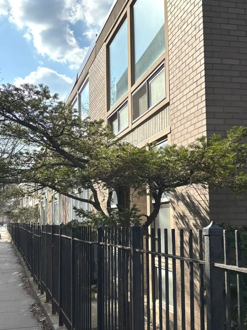 1428 E 55th Street, Chicago, IL 60615 - #2