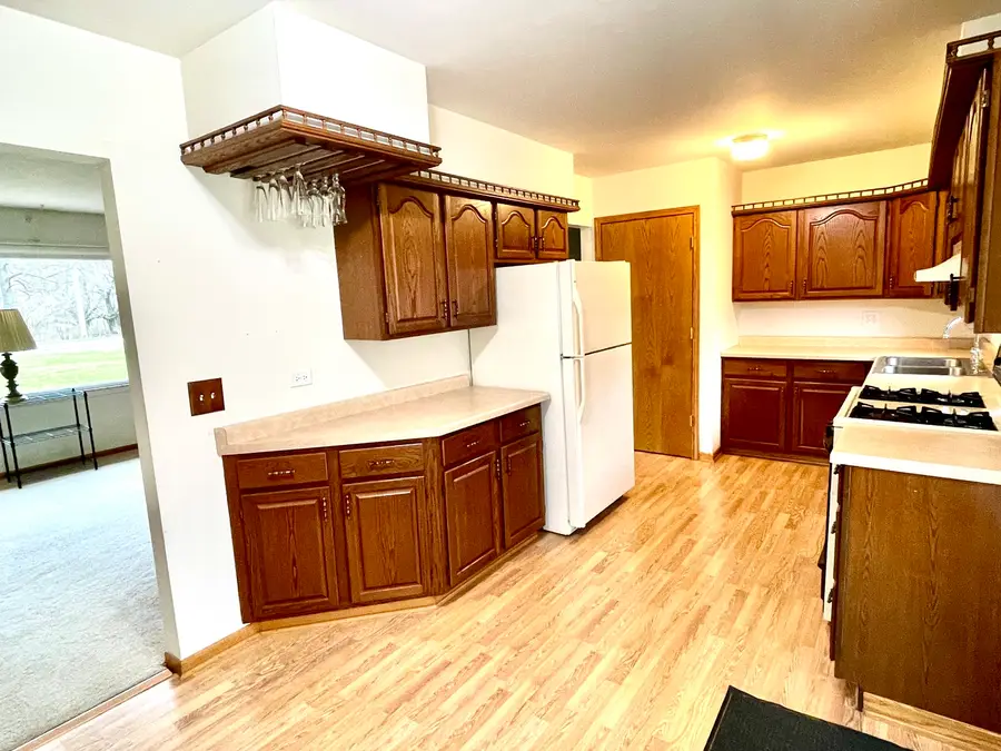 38w480 Mcdonald Road, Elgin, IL 60124 - #3