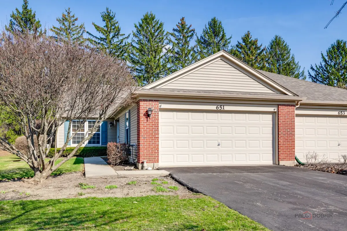 651 S Essington Drive, Round Lake, IL 60073 - #1