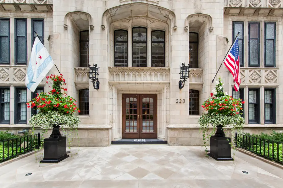 220 E Walton Place #9W, Chicago, IL 60611 - #2