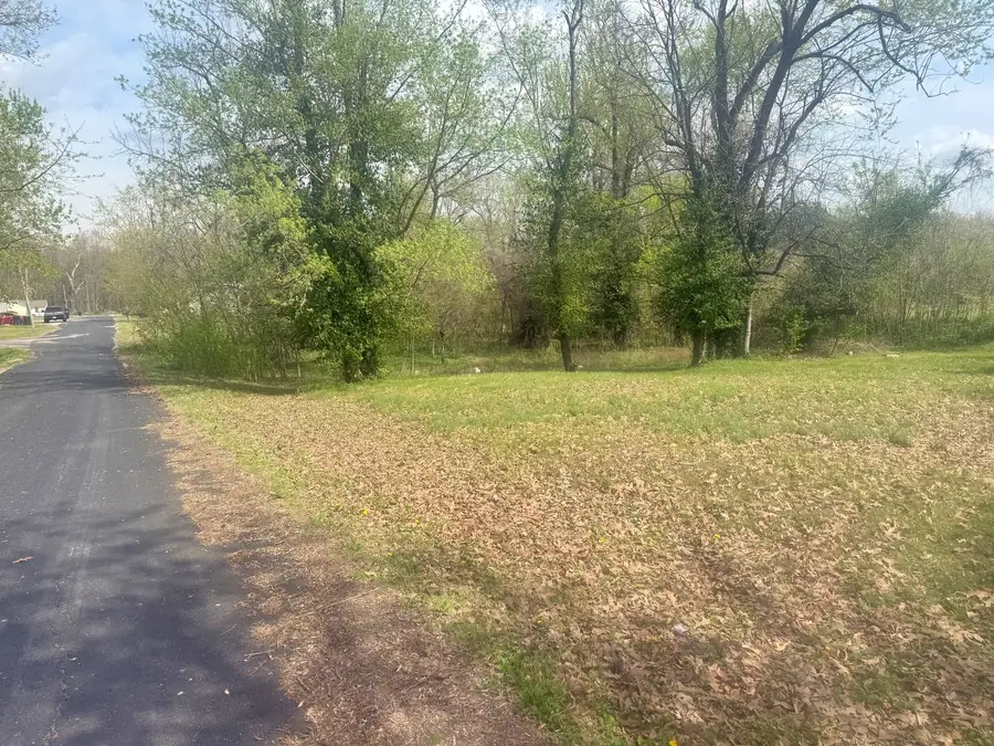 701 E 16th Street, Metropolis, IL 62960 - #3