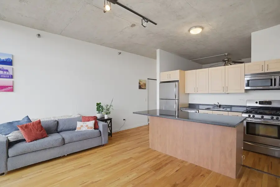 1620 S Michigan Avenue #418, Chicago, IL 60616 - #3