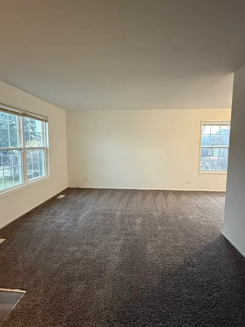 252 Yellow Pine Drive, Bolingbrook, IL 60440 - #3